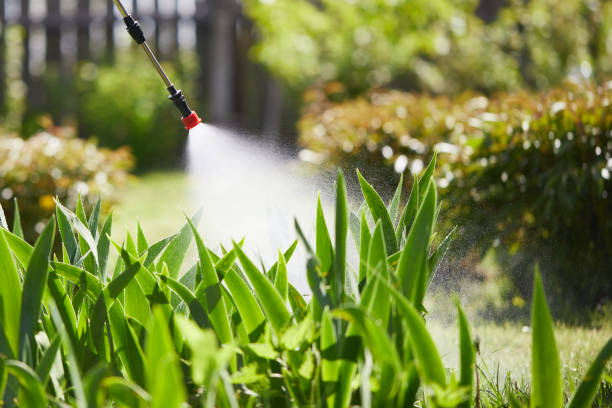 Tamper-Resistant Bait Stations for Rodents in Chiefland