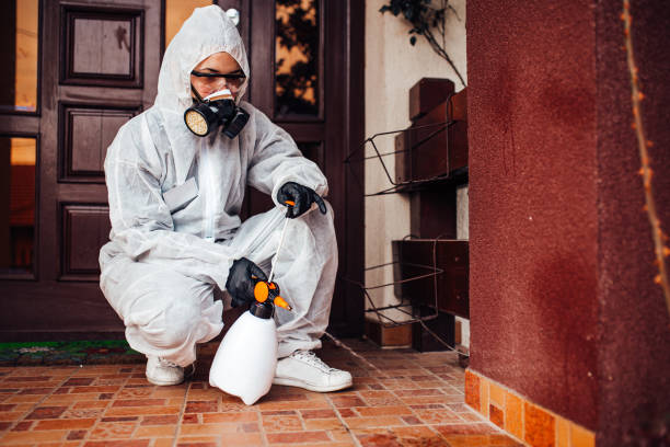 Attic and Crawl Space Rodent Treatment in Chiefland