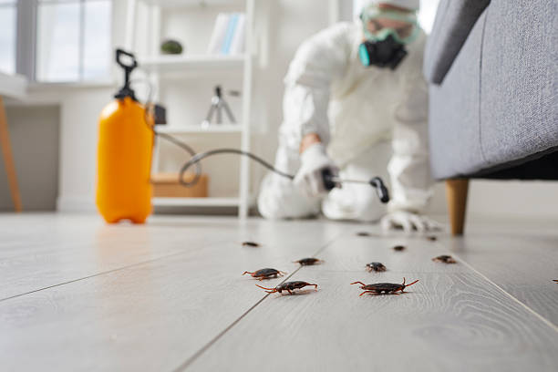 Commercial Rodent Management in Chiefland